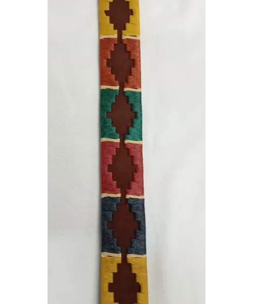 CINTURON ARGENTINO MULTICOLOR MONTEPICAZA 2