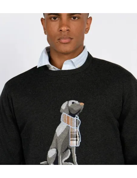 JERSEY GRIS PERRO HARPER&NEYER